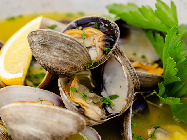 Clam Steaming Kit - Image 4