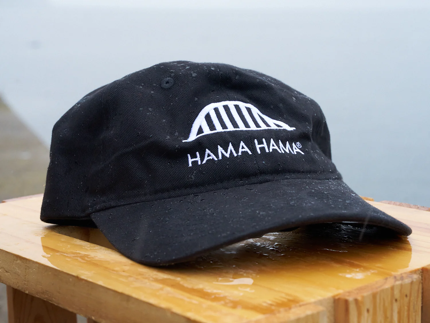 Dad Hat - Image 3