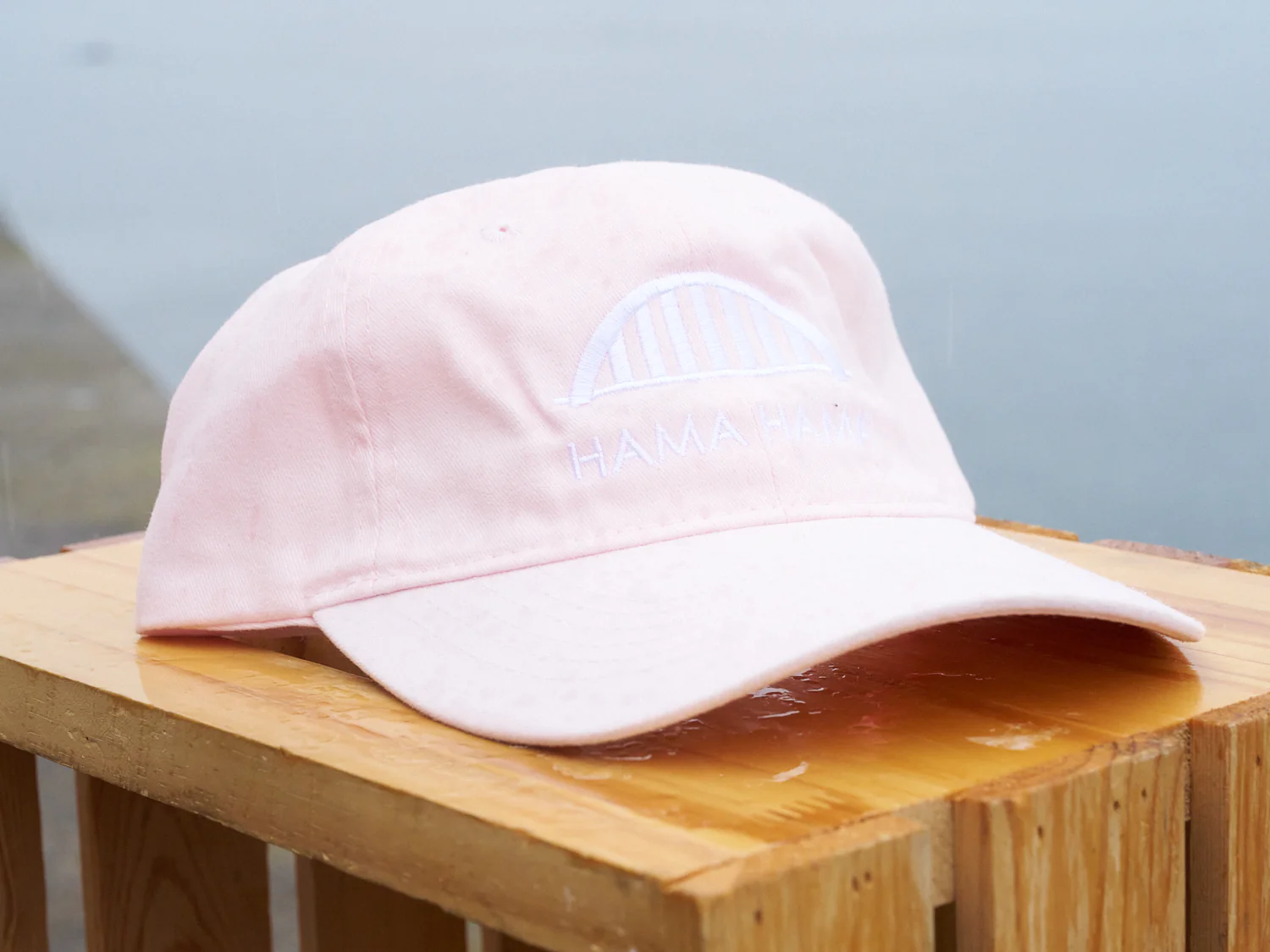 Dad Hat - Image 4