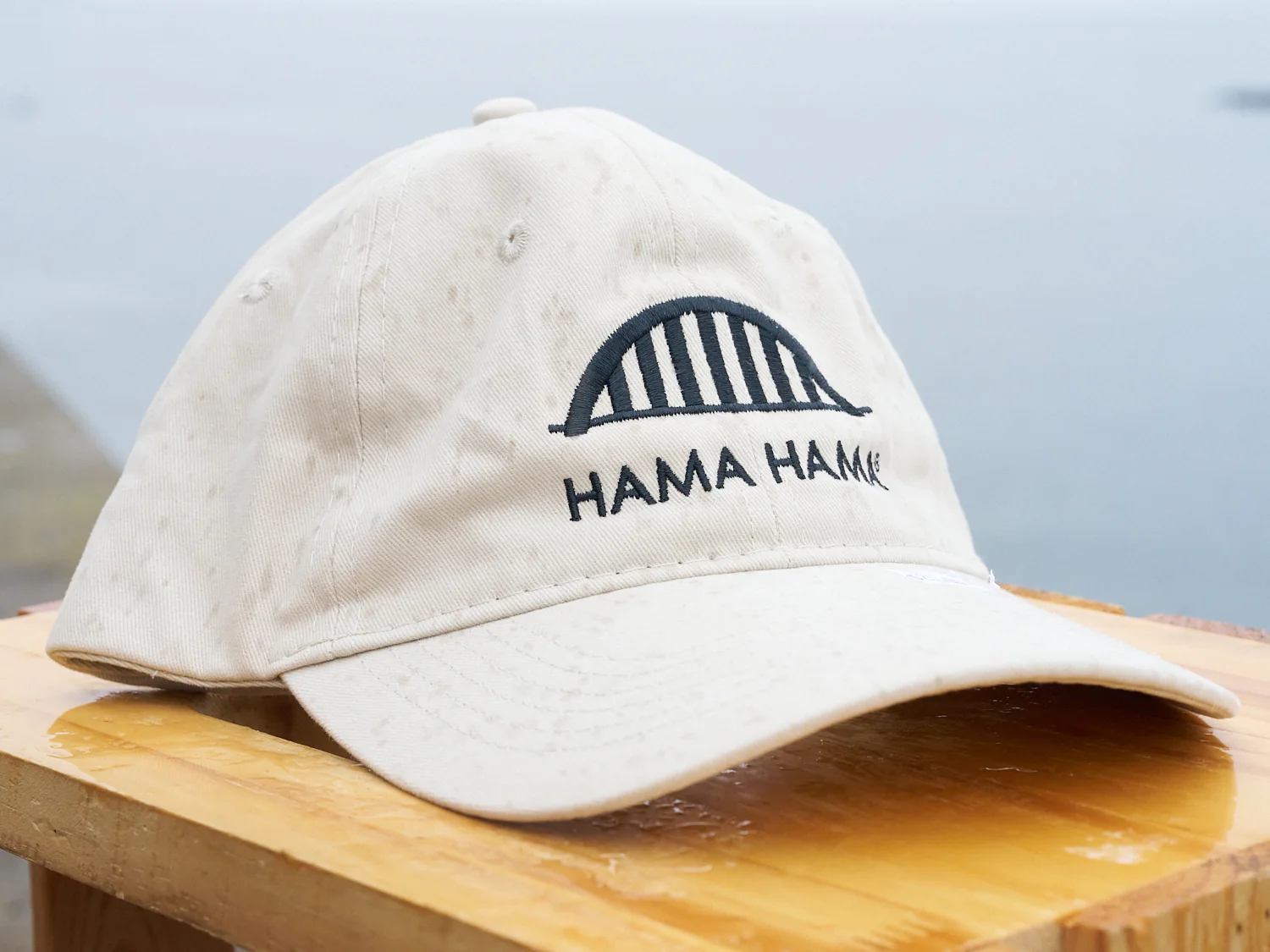 Dad Hat - Image 5