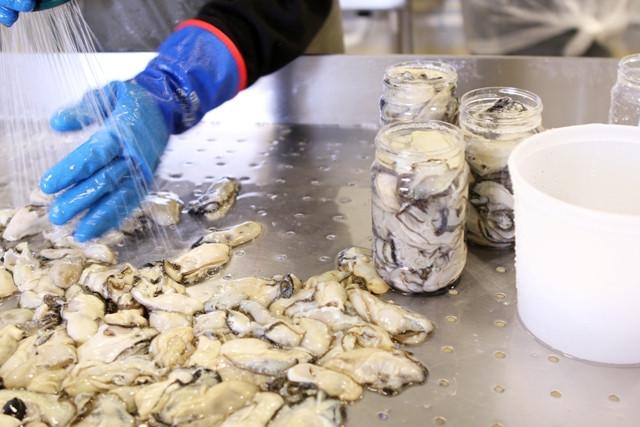Shucked Oysters - 1 Frozen Pint (Add-on) - Image 7